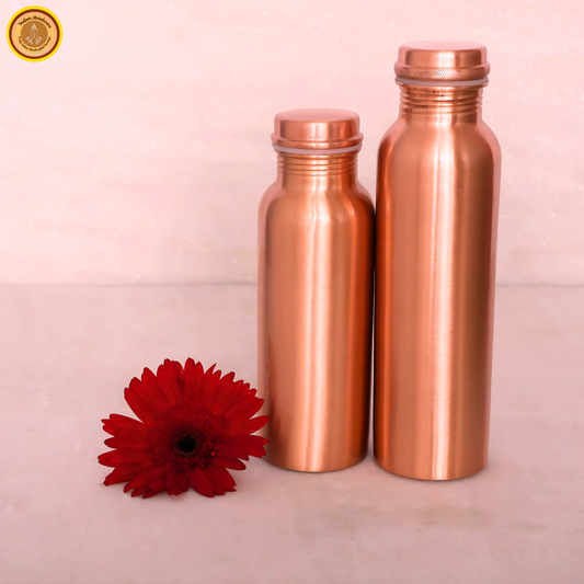 Combo of 2 Copper water bottles